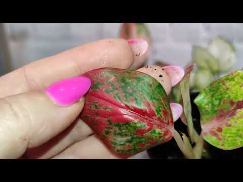 Видео: Распаковка! Урааааа!