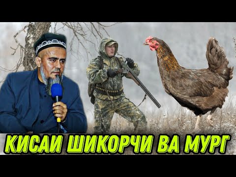 Видео: АЧОИБ КИСАИ ИБРАТАНГЕЗ ШИКОРЧИ ВА МУРГ! ДОМУЛЛО АБДУРАХИМ НАВ 2021