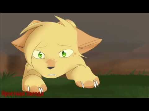 Видео: Коты-Воители Огнезвёзд и Песчаная Буря - Самая самая ( Заказ )