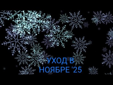 Видео: ❄МОЙ УХОД В НОЯБРЕ 2025❄❄❄