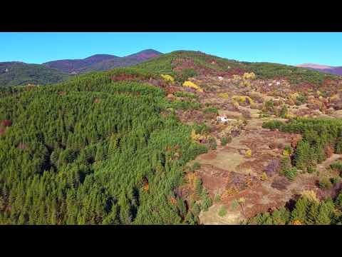 Видео: Хаджи Боби 2025 с.Босилково.