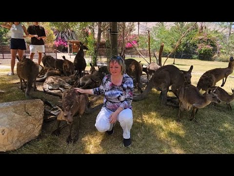 Видео: Заповедник кенгуру🦘 - кусочек Австралии 🇦🇺 в Израиле 🇮🇱.Как вообще устроены  заповедники Израиля.