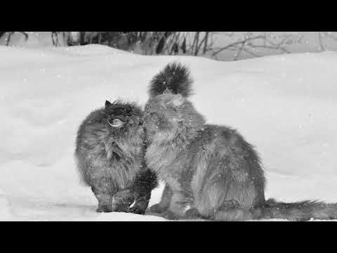 Видео: Бесплатный лирический бит | Бесплатный андеграунд минус | Бит для рэпа