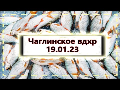 Видео: НАКОСИЛ РЫБЫ СТОЛЬКО ЧТО ЕЛЕ УНЁС\Чаглинское вдхр\Рыбалка в Казахстане