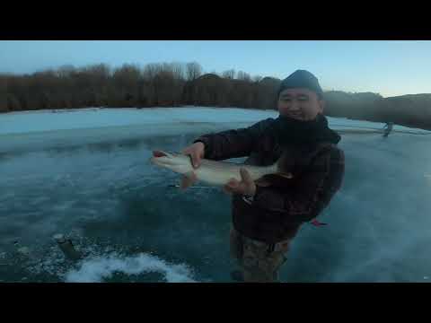 Видео: Ice fishing 2022.03.31 өвлийн загасчлал