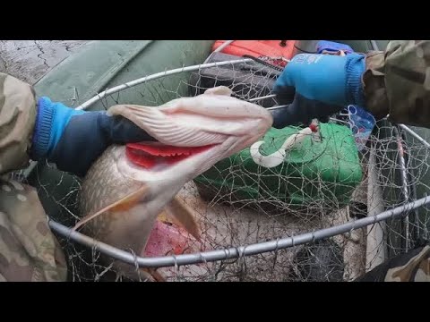 Видео: 🔺️🎣ЧЕТВЁРТЫЙ ДЕНЬ РЫБАЛКА ОКТЯБРЬ 2024🎣🔺️