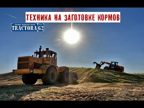Видео: Заготовка кормов ООО КРУПСКОЙ СТАРОЖИЛОВСКИЙ