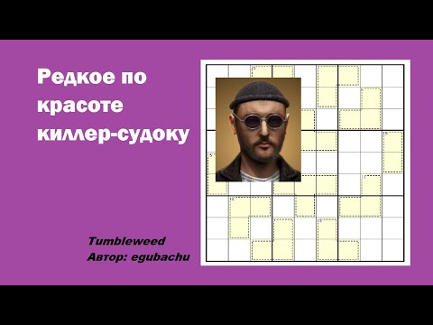 Видео: Редкое по красоте киллер-судоку