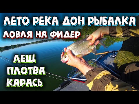Видео: Рыбалка на ДОНУ летом. СВЕРШИЛОСЬ! Ловля леща на фидер. Ловля карася. Ловля плотвы. СУПЕР РЫБАЛКА!