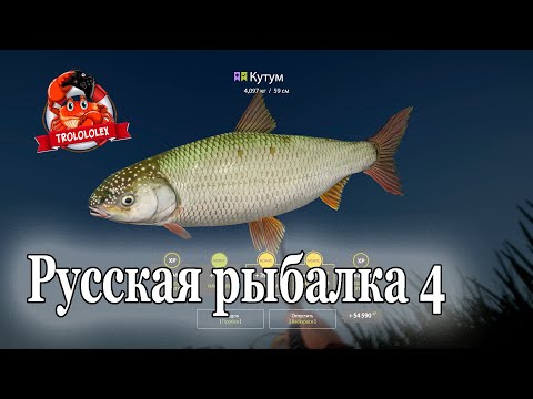 Видео: Русская рыбалка 4 Кутум