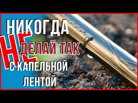 Видео: Лента для капельного полива 5 правил пользования капельной лентой