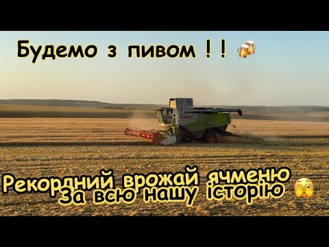 Видео: Пивоварний ячмінь зібрано ‼️ рухаємось далі‼️