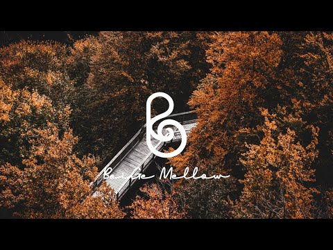 Видео: Осеннее утро 🍁 Погружаясь в мысли, я нахожу утешение в спокойной музыке.