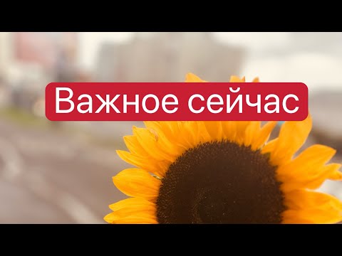 Видео: —Что ты делаешь когда нет ответа?—Я слушаю тишину 🎶❤️