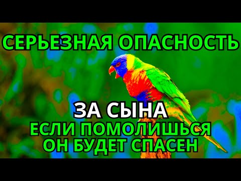 Видео: 🌈 ПОМОЛИСЬ ЗА СЫНА И ОН БУДЕТ СПАСЕН! Защитная молитва за взрослого сына 🌈 #дуа 