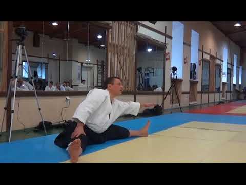 Видео: Семинар по укеми. Дмитрий Черняев. 5-й дан айкидо айкикай.