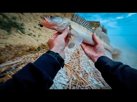 Видео: ЛОВЛЯ СУДАКА НА СПИННИНГ с берега. Река Волга шириной 11 км!!! май 2023.