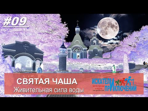 Видео: Святая чаща  Живительная сила воды  Крещение 2023