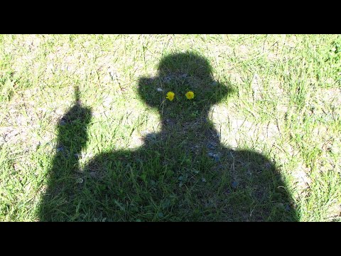 Видео: Алтай 2021. Флора и бабочки. Ртутный рудник.