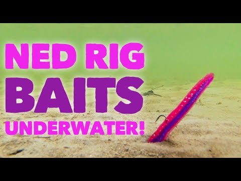 Видео: Ned Rig Baits ПОД ВОДОЙ! Какие приманки работают лучше всего?
