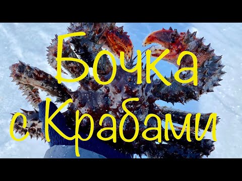 Видео: ОГНЕННАЯ КРАБАЛКА в Магадане! БОЧКА С КРАБАМИ!