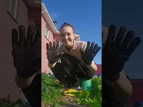Видео: На самом деле #счастье — оно в простых вещах
