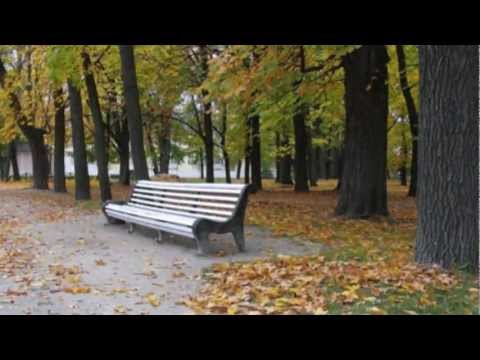 Видео: Ирина Аллегрова ОСЕНЬ