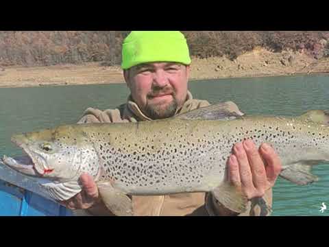 Видео: ДЕБАРСКО ЕЗЕРО Риболов и риболовен туризам во Македонија  #fishing #ribolov #fishing #debarskoezero