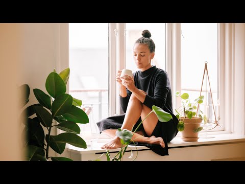 Видео: #41 Новая жизнь в Копенгагене