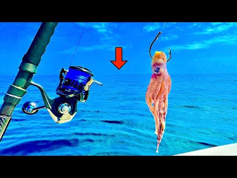 Видео: Ловлю кальмаров на глубине 100 футов! Пока не заболели руки!