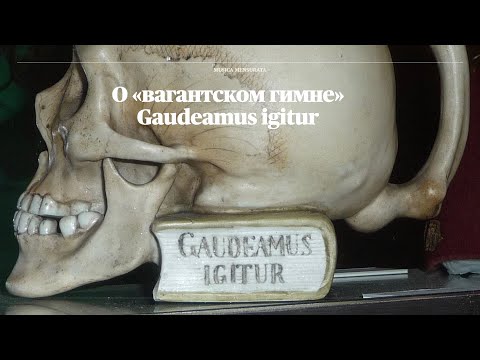 Видео: О "вагантском гимне" Gaudeamus igitur