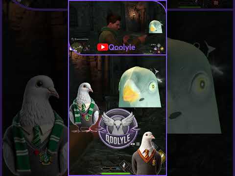 Видео: Игра затягивает #qoolyle #shorts #хогвартс #hogwarts #игры #прохождение #рек #реки #голубь