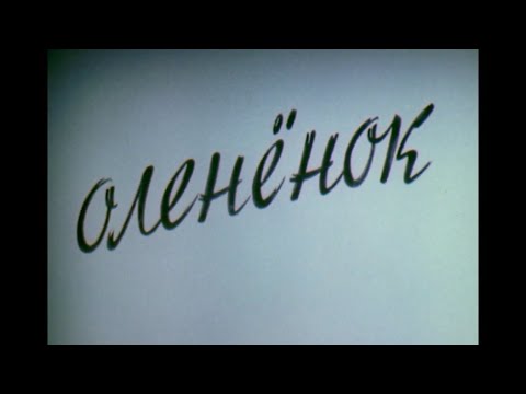 Видео: Фильм Норильской телестудии "Оленёнок"