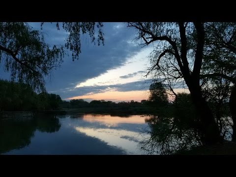 Видео: Браконьеры. Ночной рейд. 2 кадра 25.04.2017