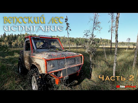 Видео: Вепсский лес 2023 часть 2 !!!СЛОМАЛИСЬ ВСЕ!!!
