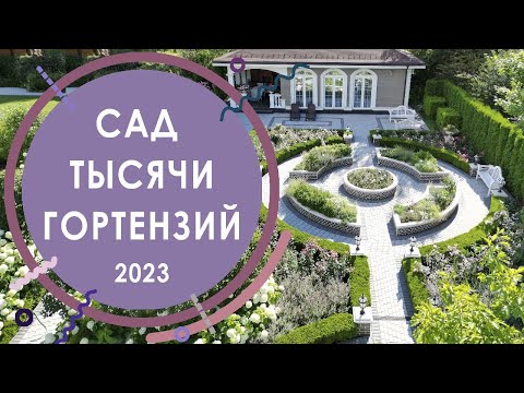 Видео: Сад тысячи гортензий Аннабель