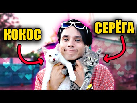Видео: СЕРЁГА И КОКОС! ОБЗОР НА КОТИКОВ!