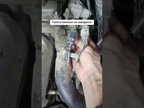 Видео: Тойота Авенсис не заводится,электрики приговорили эбу.