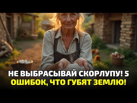 Видео: Скорлупа от яиц спасает землю от гнили! Почему об этом не говорят в магазинах?!