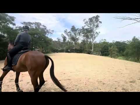 Видео: Летающие изменения, сохраняя их в гору, прямо и мягко