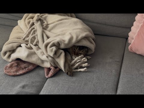 Видео: VLOG Уборка и подгузники 07.09.2025