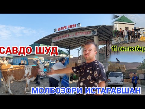 Видео: 11 октября 2024 г. МОЛБОЗОРИ ИСТАРАВШАН ! НАРХО АРОЗН...😱😱