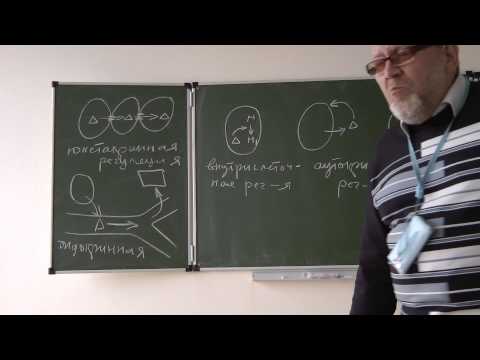 Видео: 5.11.13 Физиология животных -Сергеев И.Ю. часть 1