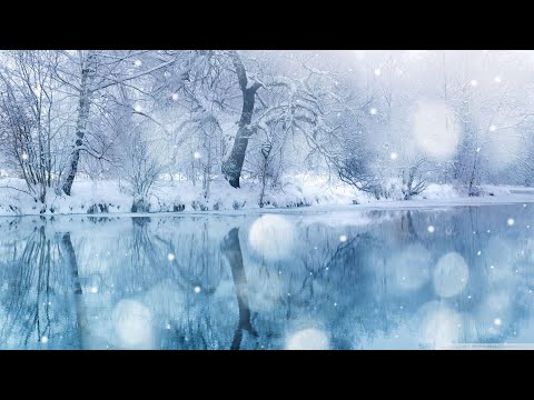Видео: интересные стихи часть 65