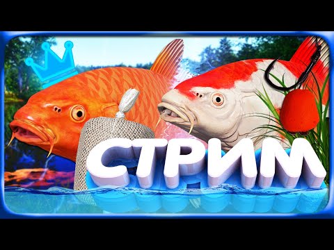 Видео: РР4 СТРИМ • ФАРМ СЕРЕБРА на МЕДНОМ ОЗЕРЕ с ЛУЧШИХ ТОЧЕК!
