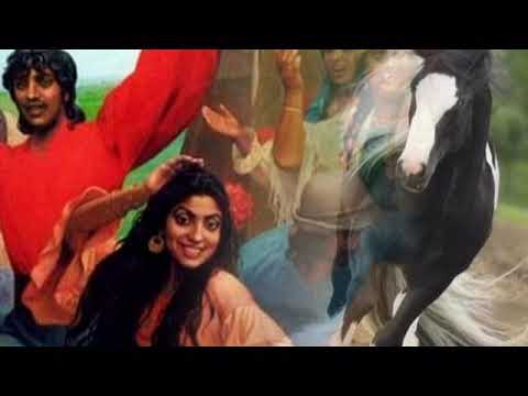 Видео: Шамши Калдаяков Цыганская серенада