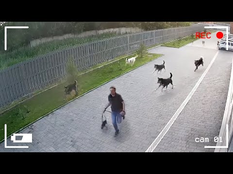 Видео: 40 Невероятных Моментов, Снятых на Камеры Наблюдения
