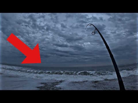 Видео: Осенний забег в Нью-Джерси в самом разгаре! (поймай+приготовь)