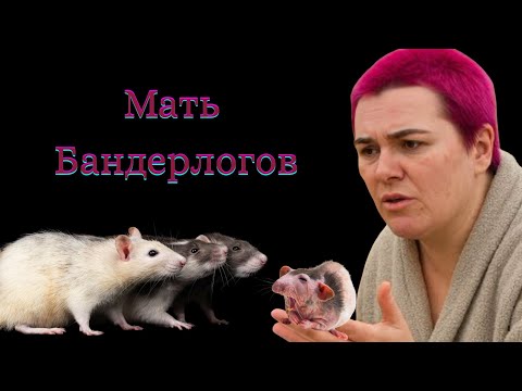 Видео: Мать Бандерлогов