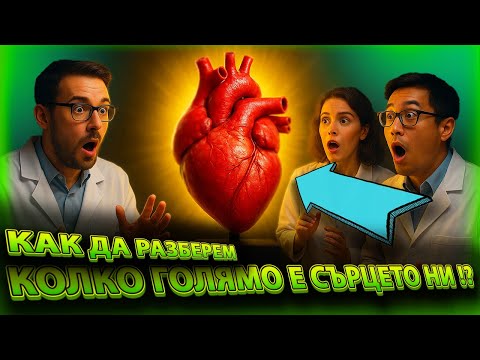 Видео: Топ 10 ФАКТА за СЪРЦЕТО, които не знаеше !